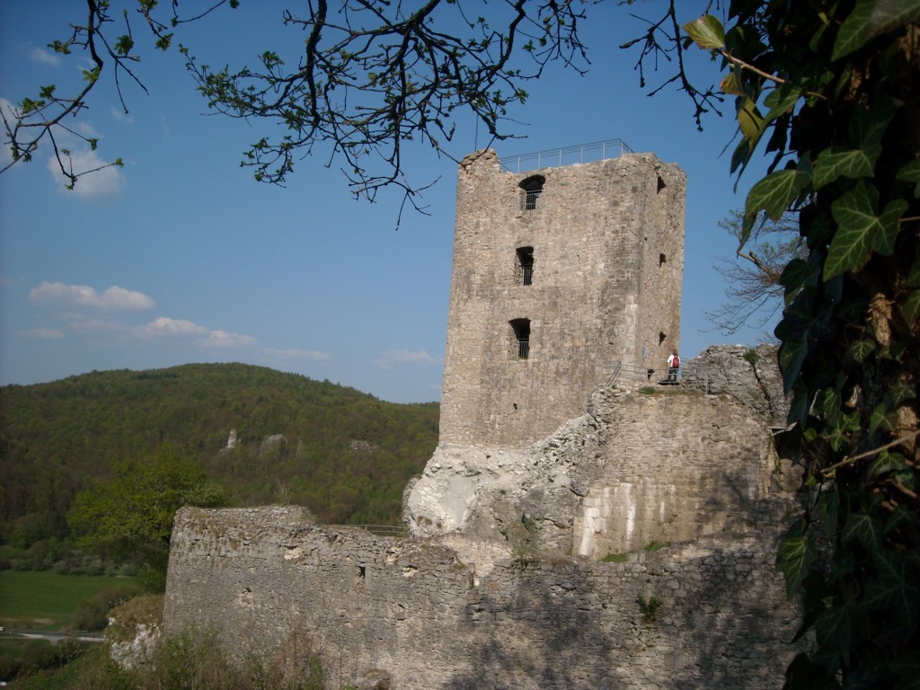 Ruine Neideck