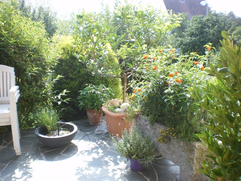 Terrasse mit Pflanzen